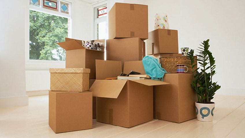 Packers and Movers DLF Phase II