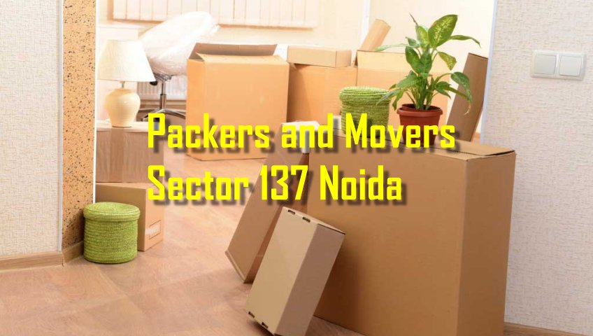 Packers and Movers Sector 137 Noida