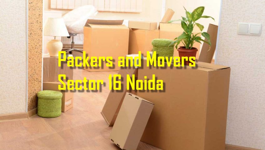 Packers and Movers Sector 16 Noida