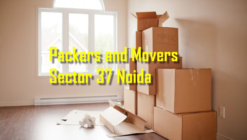Packers and Movers Sector 37 Noida
