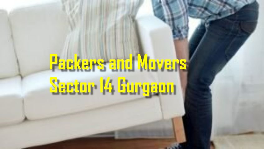 Packers and Movers Sector 14