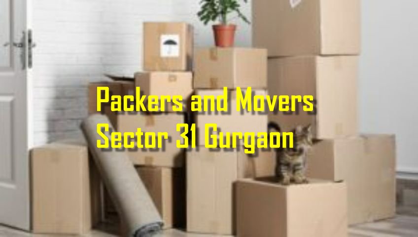 Packers and Movers Sector 31