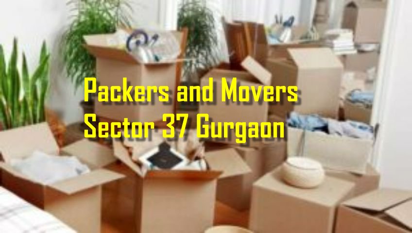 Packers and Movers Sector 37