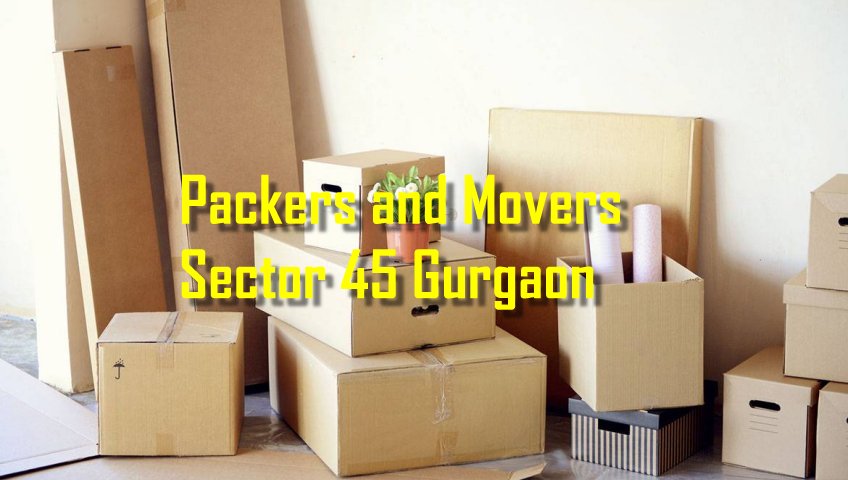 Packers and Movers Sector 45
