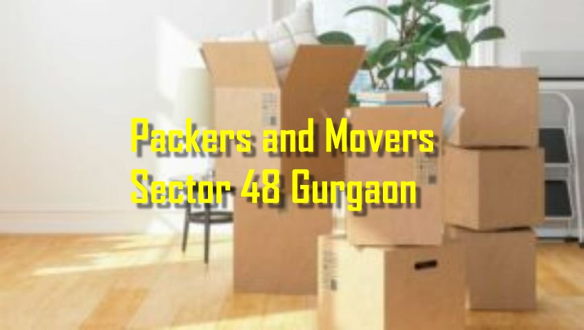 Packers and Movers Sector 48